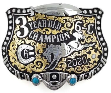 Heritage Feather Shield Champion Buckle